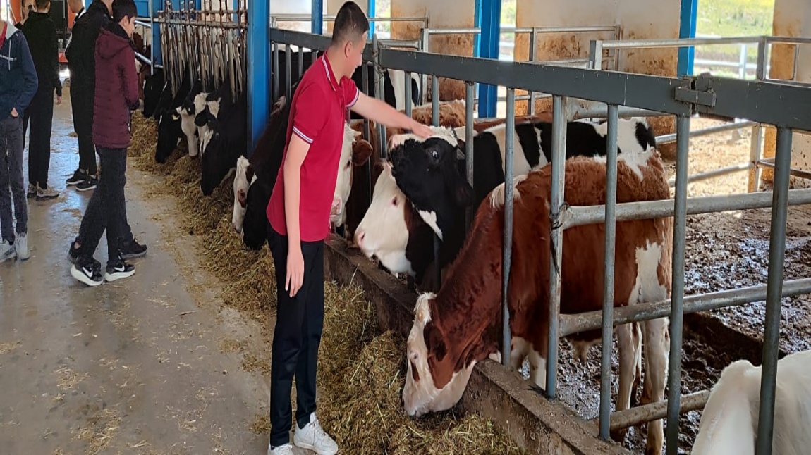 8.Sınıf Öğrencilerimizin Lise Gezileri Devam Ediyor